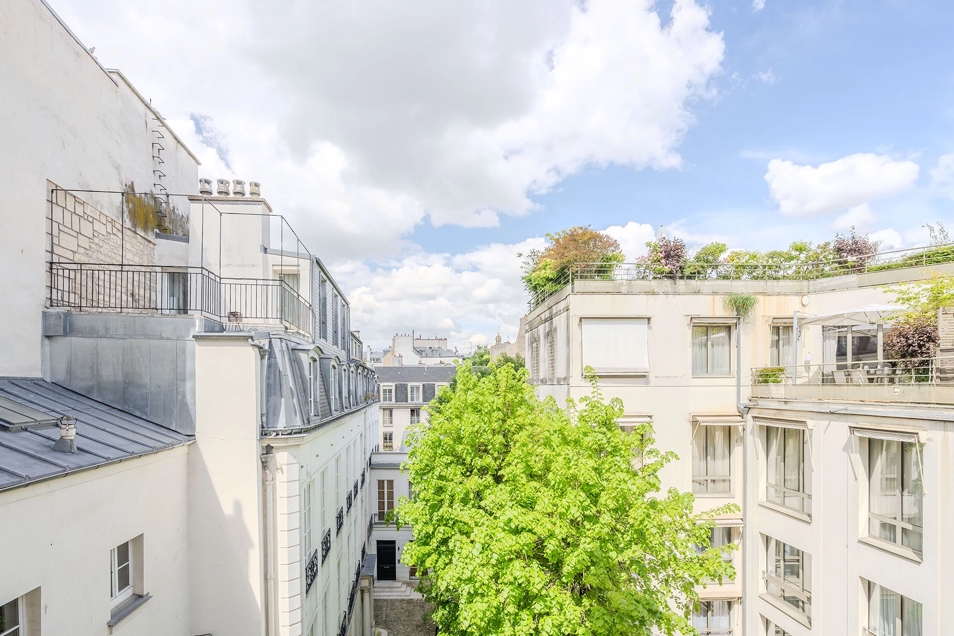 Jacob_photo©Maryll Torcol Immobilier-10 copie.webp